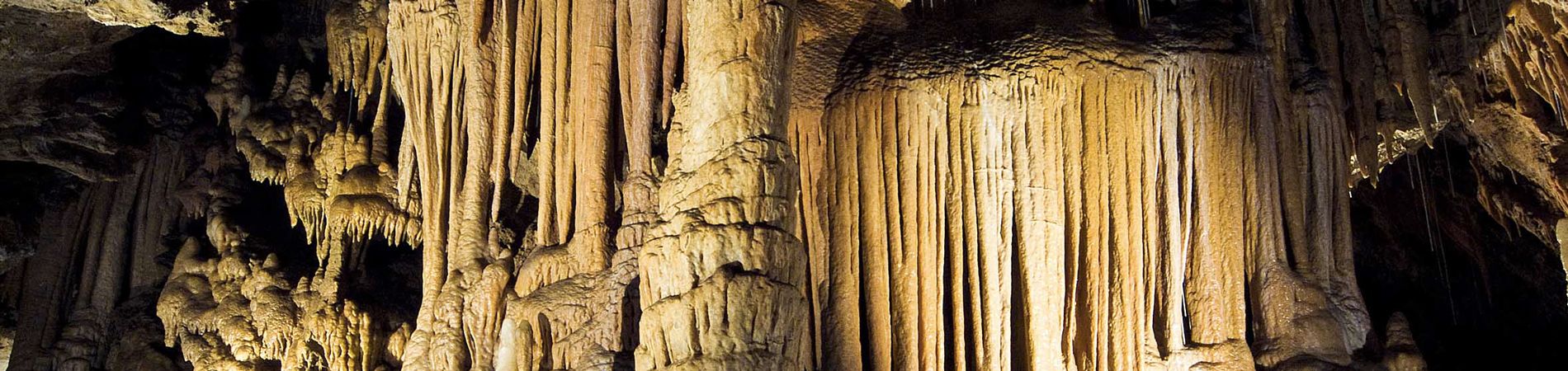 Stalactites de Fontrabiouse