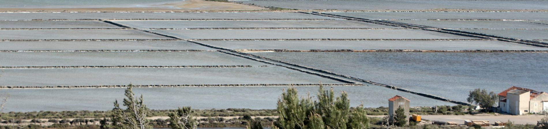 Salines de la palma