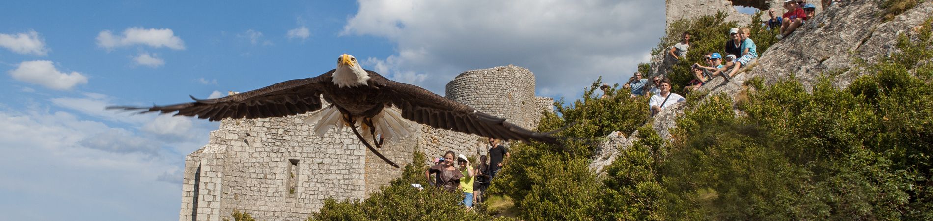 El castillo cátaro de Peyrepertuse