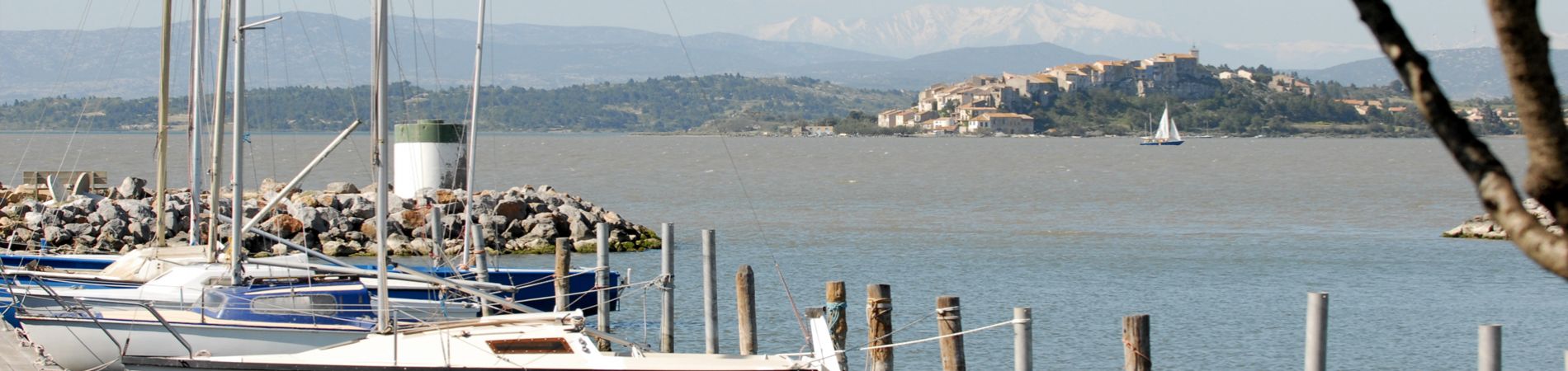 Bateaux au port à Bages