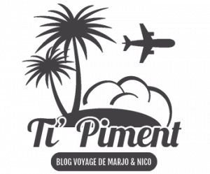 logo du blog de voyage Carnet de TiPiment 