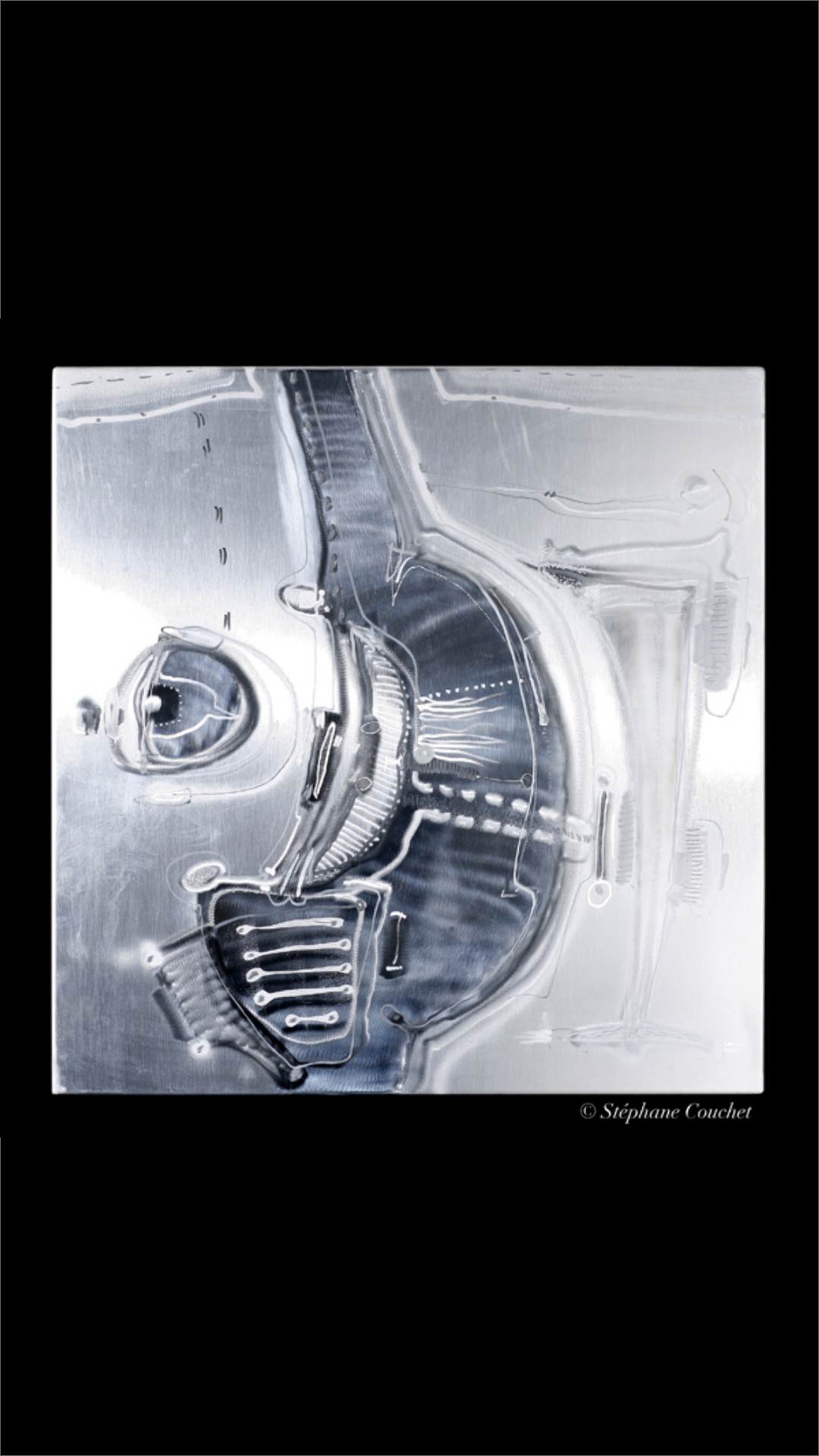 <p>Patrick Chappert Gaujal<br />
Œuvre d’art en cuisine</p>
