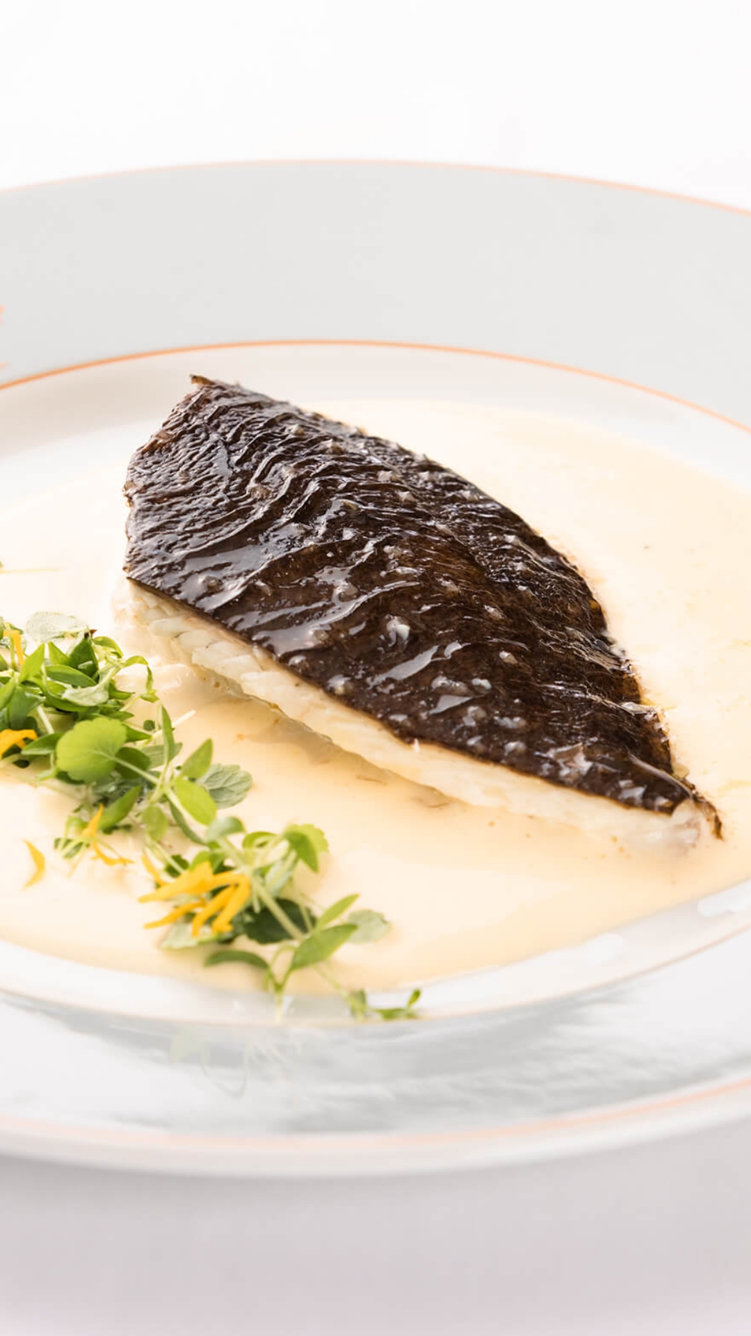 <p>Turbot sauvage rôti au beurre blanc<br />
Guide culinaire A. Escoffier édition 1907<br />
Recette page 510</p>
